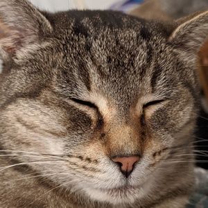 Meet your Posher, Vonda